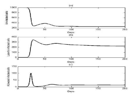 Normalized System Differential Equation 的图像结果