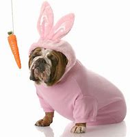 Image result for Upset Baby On Easter