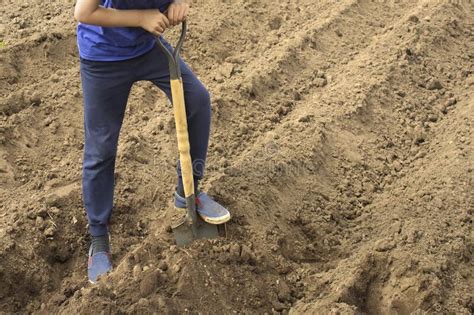 Dig a Pit 的图像结果