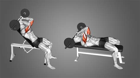 Incline Bench Skull Crushers