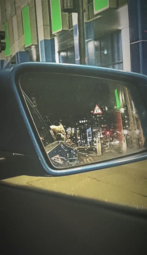 Ccuncensored Onlyfans