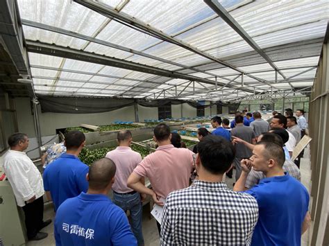 安溪县开展2020年茶叶生产新机具示范推广现场会 - 泉州市农业农村局