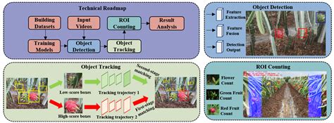 Fast Recognition and Counting Method of Dragon Fruit Flowers and Fruits ...