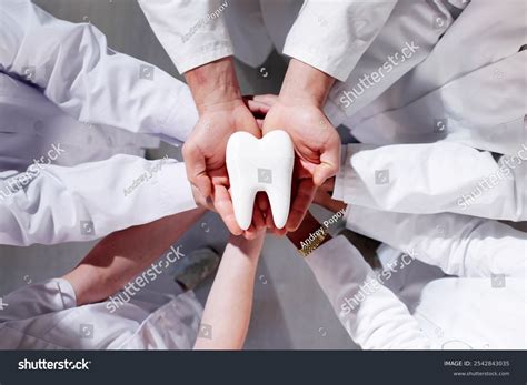 Group Dentists Holding Tooth Dental Teeth Stock Photo 2542843035 | Shutterstock
