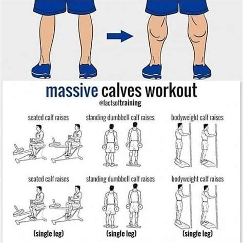 Calf Muscle Bodyweight Exercises at Lois Hartwell blog