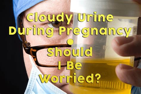 White Particles In Urine Early Pregnancy at Alyssa Reeks blog