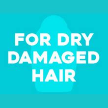 Buy OGX Renewing + Argan Oil of Morocco Hydrating Growth Hair Shampoo ...