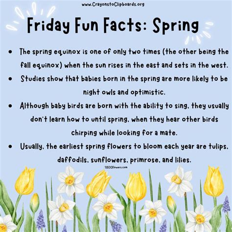 Image result for Weird Spring Facts
