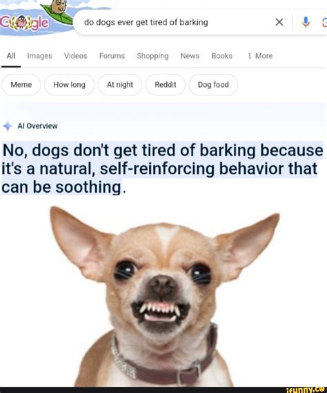 SS do dogs ever get tired of barking x All Images Videos Forums ...
