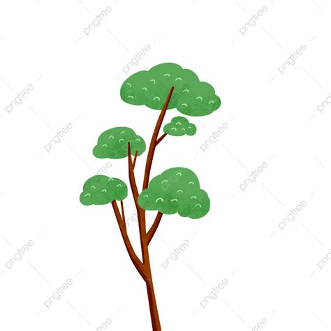 Image result for Sapling Transparent