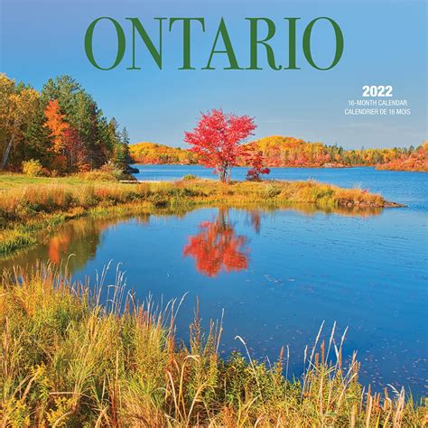 Amazon.in: Buy Ontario 2022 12 x 12 Inch Monthly Square Wall Calendar ...