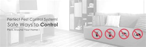 Pest Control Company in Chennai, Pest Control Services in Chennai