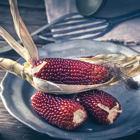 Heirloom Red Strawberry Popcorn Seeds zea Mays Var. Everta Unique, Red ...