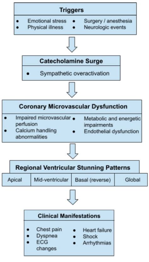 Takotsubo Syndrome in 2025: Evolving Concepts in Pathophysiology ...