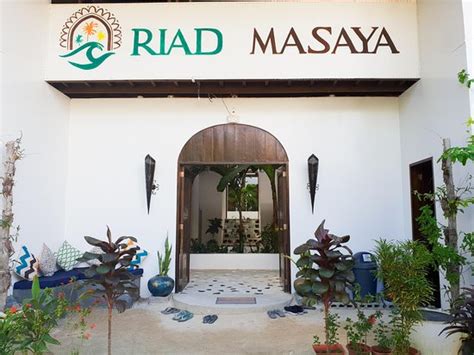 RIAD MASAYA (General Luna) - Hostel Reviews, Photos, Rate Comparison ...