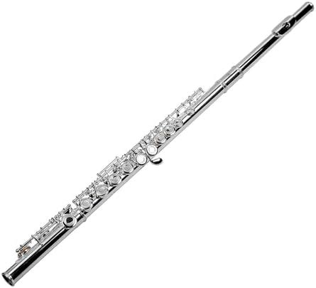 PERLMAN Professional 16-Key Silver Nickel Flute (Key of C) - Closed ...