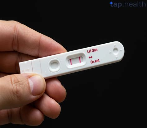 Can LH Test Detect Pregnancy? Here's Everything You Need to Know