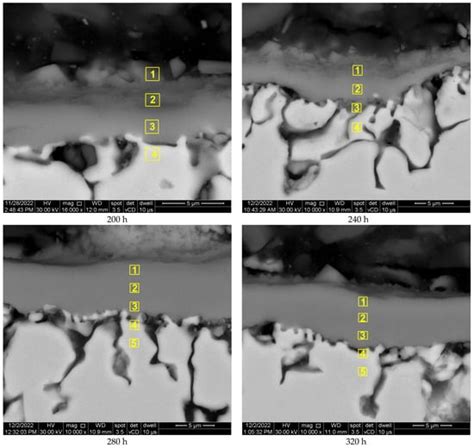 Investigation of High-Temperature Oxidation Behavior of Additive ...