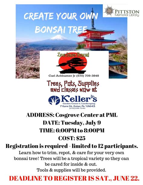 Create Your Own Bonsai Tree, 47 Broad St, Pittston, PA, 9 July 2024 ...