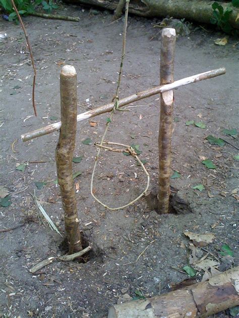 BUSHCRAFT COURSES | Coastal Survival