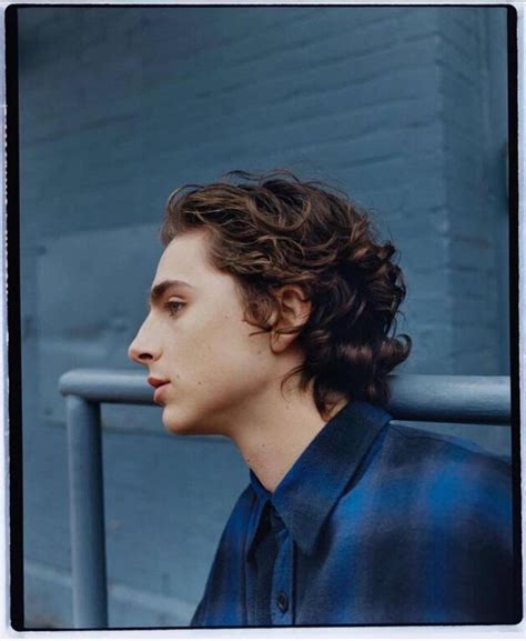 Timothée Chalamet Hairstyle (91) | October