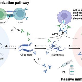 Discovery of potent inhibitors of α-synuclein aggregation using structure-based iterative learning - PubMed