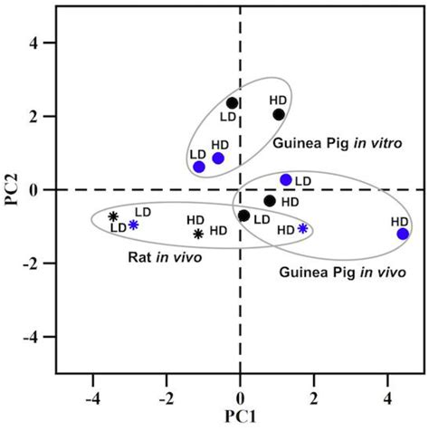 Assessing Kidney Injury Induced by Mercuric Chloride in Guinea Pigs ...