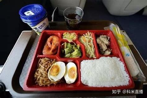 世界上五个国家的高铁盒饭，日本的像是模型，印度的让人想掀桌子_中国