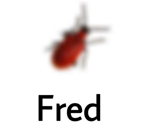 Image result for Bug Compilation