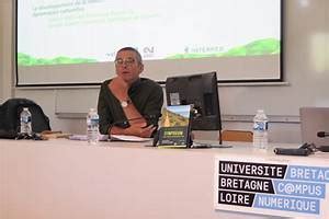 master meef rennes 2 histoire Android IOS V- 6.61