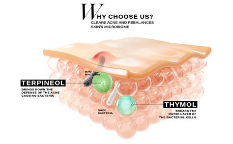 Novology Acne Clearing Serum with Thymol and Terpineol | Face Serum For ...