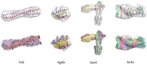 Direct Phasing of Coiled-Coil Protein Crystals