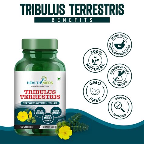 Buy HEALTHMEDS TRIBULUS TERRESTRIS WITH GOKSHURA EXTRACT | FOR MEN ...