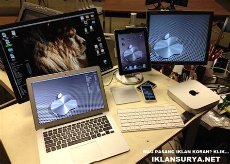 Computer Lessons Apple 的图像结果
