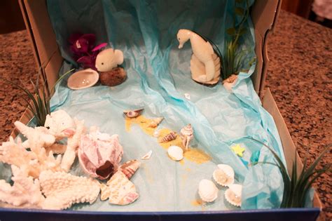 Ecosystem Project 的图像结果