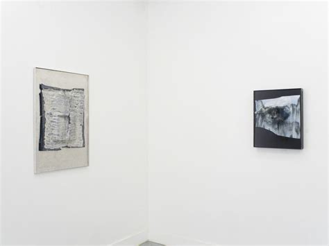 Antonia Kuo, Collapsed Field | Meer