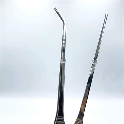 FRUTA Stainless Steel Reptile Feeding Tongs Set for India | Ubuy