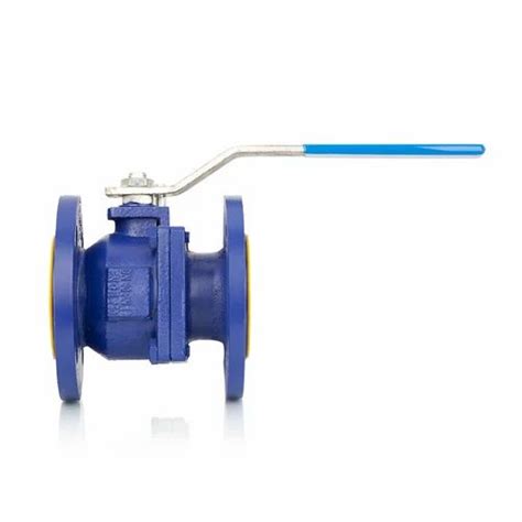 Cast Iron Ball Valve - SS 316 Ball Valves Trader - Wholesaler ...