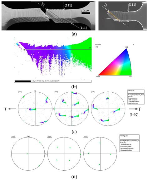 Path Dependency of Plastic Deformation in Crystals: Work Hardening ...