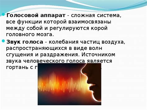 Анатомо-физиологические основы голосообразования. Значение дыхания и