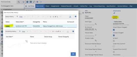 Image result for Maximo Duplicate Work Order