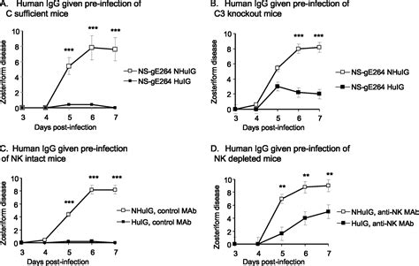 The Herpes Simplex Virus 1 IgG Fc Receptor Blocks Antibody-Mediated ...