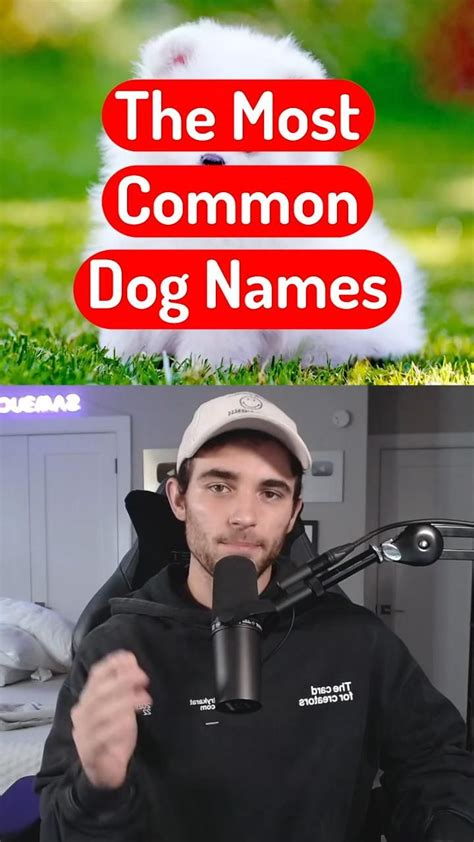 Image result for Most Common Dog Names