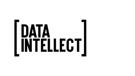 Data Intellect 的图像结果
