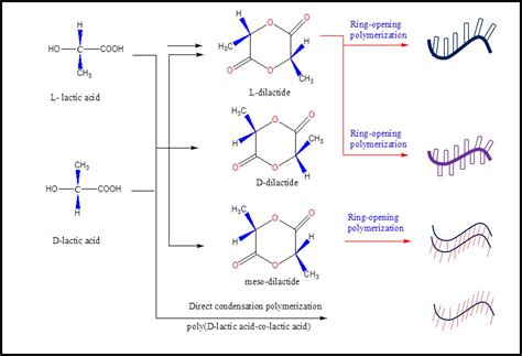 Fig. 2: Synthesis of (PLA) with high molecular [20]