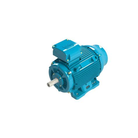 Buy WEG Motor, WEG Electric Motor Online at Best Price — Vashi ...