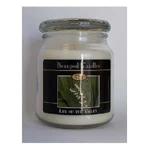 Buy Beanpod Candles, Lily of The Valley, 16-Ounce Online at Low Prices ...