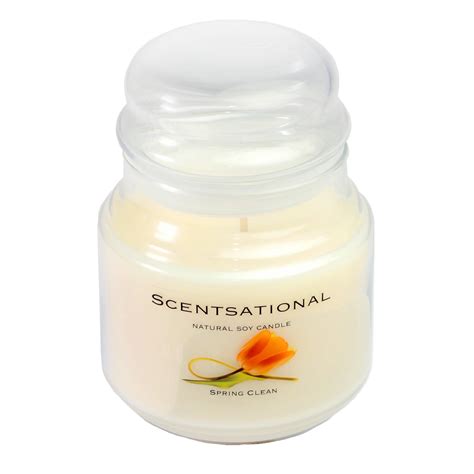 SCENTSATIONAL NATURAL SOY CANDLE | Wayfair