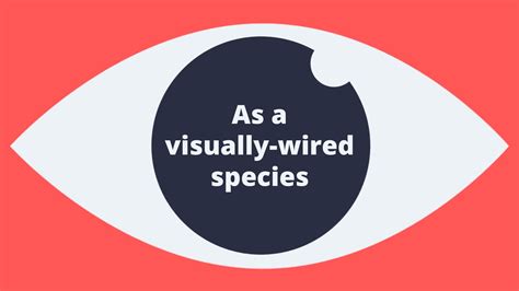 Image result for Video Explainer Infograph