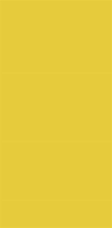 20-017 LEMON || Saffron Decoratives